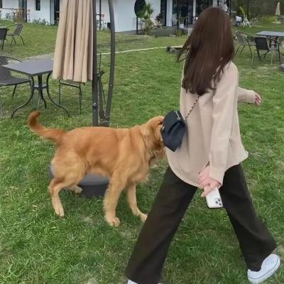 生命的泉源